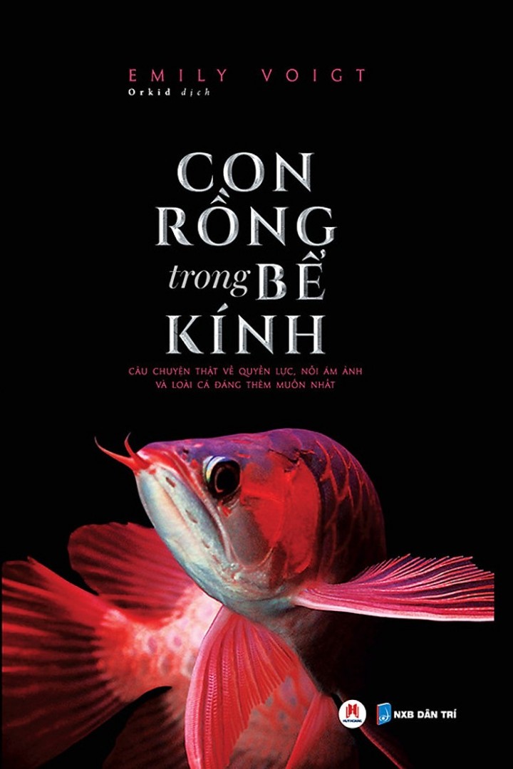 Con Rồng Trong Bể Kính