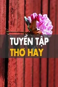 Sách Nói Tuyển Tập Thơ Hay